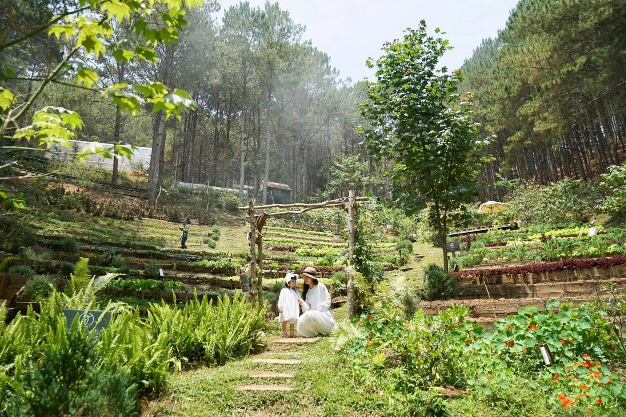 Mo Stay - Forest Resort Da Lat Exterior photo