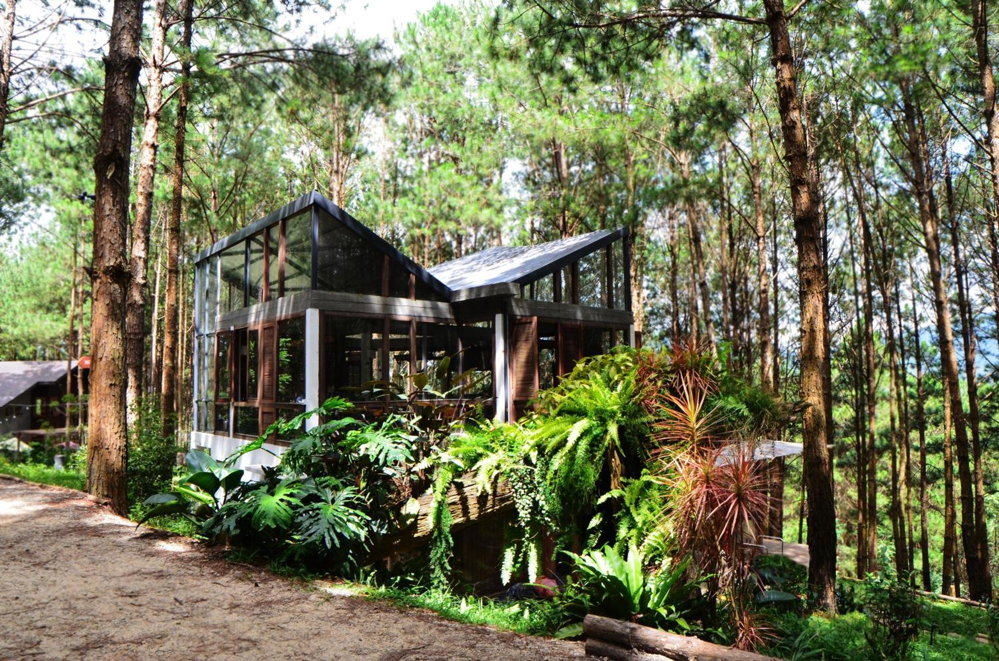 Mo Stay - Forest Resort Da Lat Exterior photo